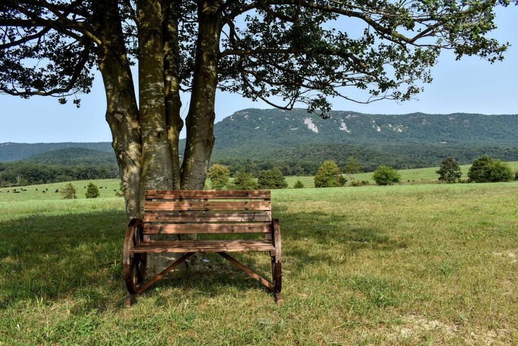 Willa Holly Tree Retreat Located In Beautiful Luray, Va. Zewnętrze zdjęcie