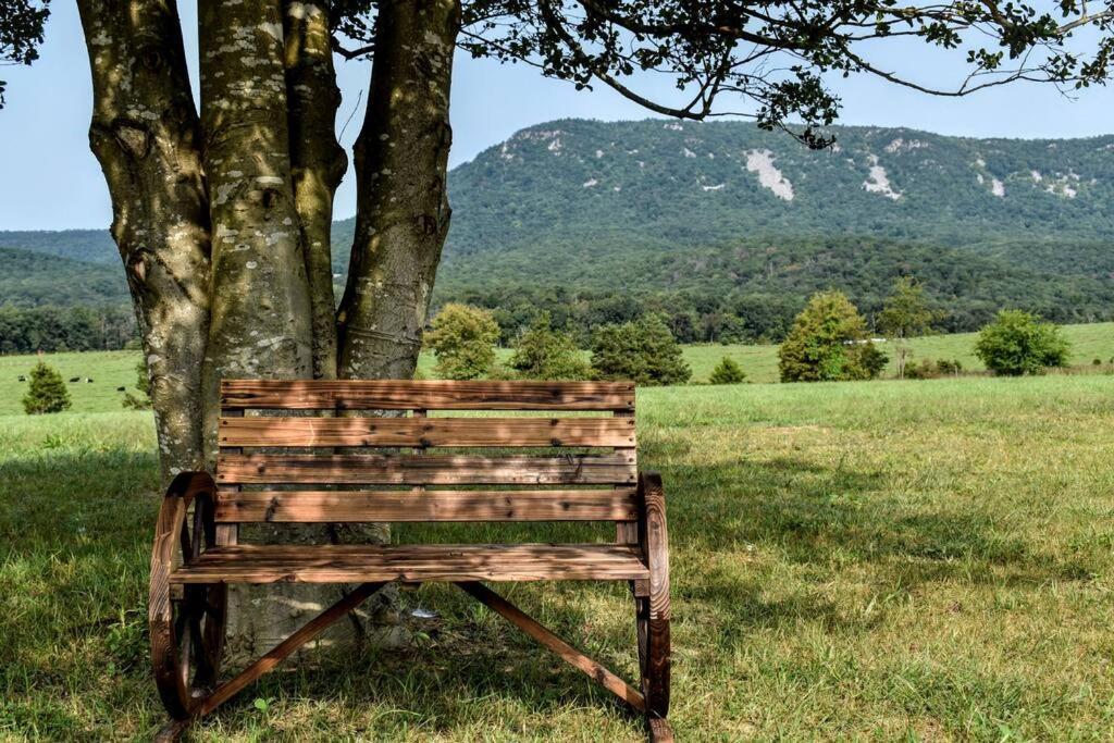 Willa Holly Tree Retreat Located In Beautiful Luray, Va. Zewnętrze zdjęcie