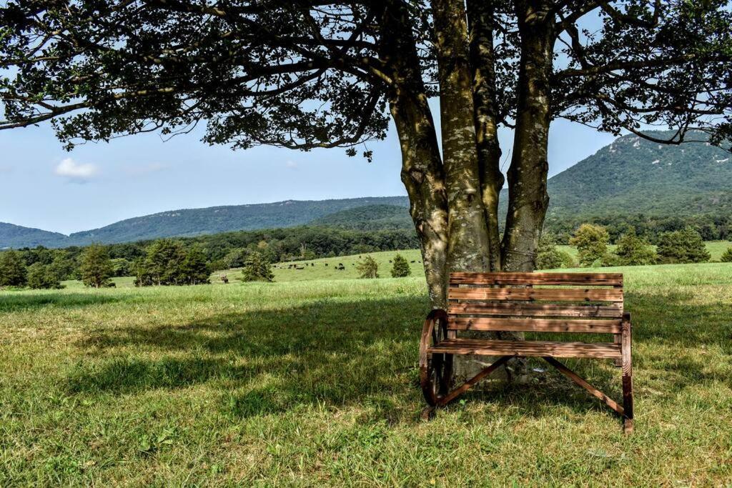 Willa Holly Tree Retreat Located In Beautiful Luray, Va. Zewnętrze zdjęcie